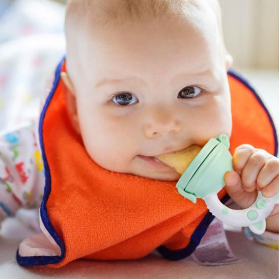 Grignoteuse bébé