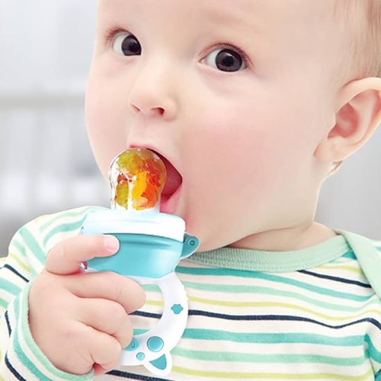 Grignoteuse bébé