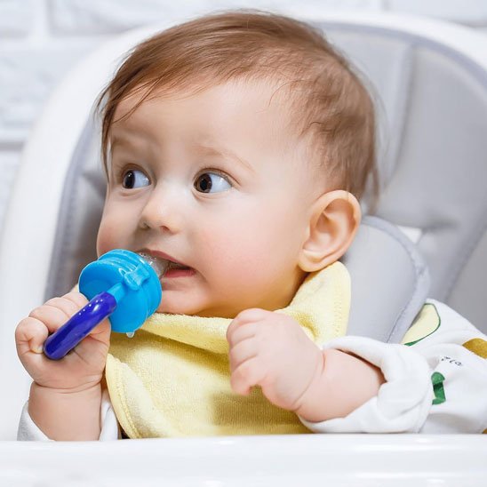 Grignoteuse bébé 