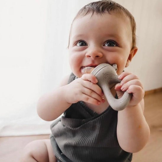 Grignoteuse Bébé | FruitSecure - Mini mordille