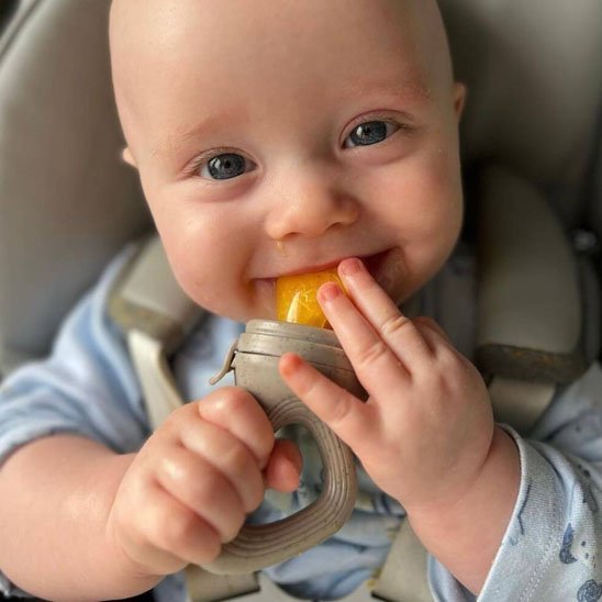 Grignoteuse Bébé | FruitSecure - Mini mordille
